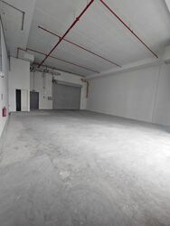 Ct Foodnex (D25), Factory #615720681